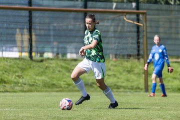 Bild 90 - wBJ Hamburger SV - VfL Wolfsburg : Ergebnis: 5:1